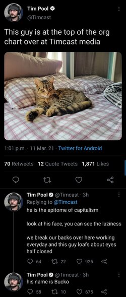 Screenshot_20210311-165511_Twitter.jpg