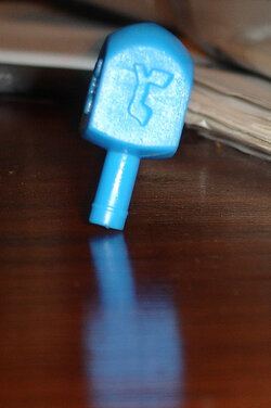 Chantal the Dreidel.jpg