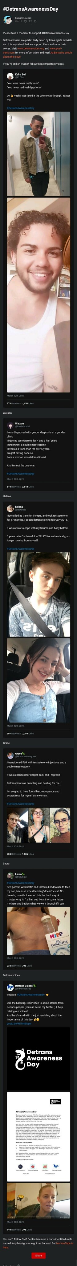 detransitioner awareness day.jpg