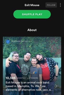 Screenshot_20210313-092221_Spotify.jpg