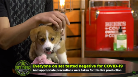 dog.png