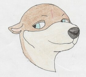 KitTheSoulless-Random-Otter-small.jpeg