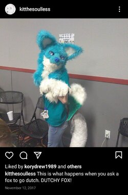 Screenshot_20210314-194515_Instagram.jpg