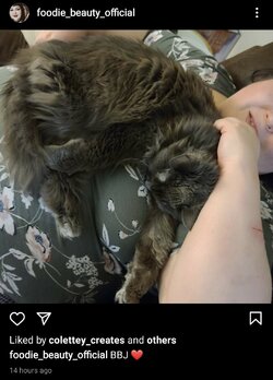 Screenshot_20210315-124631_Instagram.jpg