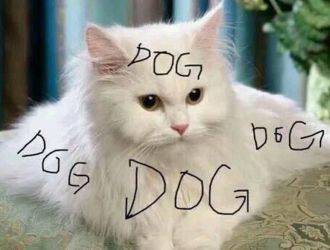catdog.png