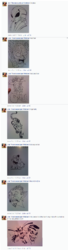 CWCBOOK2.png