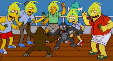 kiwimonkeyfight.jpg