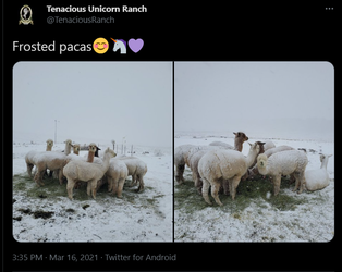 Untitled.png