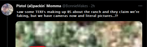 tranchtweet3.png