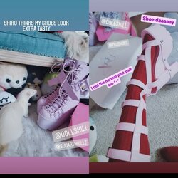 shiro ferret pet shoes 1615930568431.jpeg