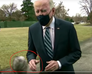 ohjoe2.png
