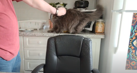 1616014345673.png