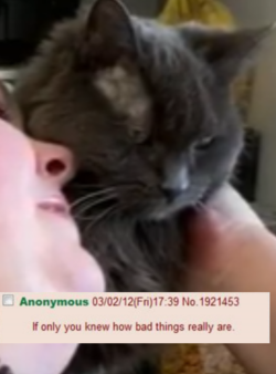 1616095619200.png