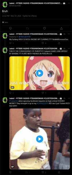 screencapture-twitter-TheGaLmHD-status-1372946681772306432-2021-03-19-15_38_31.png