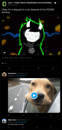 screencapture-twitter-TheGaLmHD-status-1372954758428889091-2021-03-19-15_40_12.png