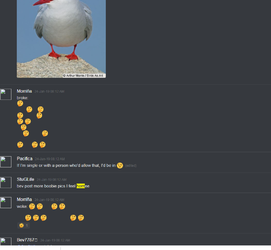 chai_33.png