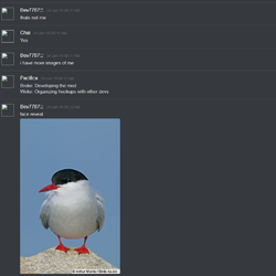chai_32.png