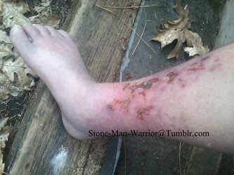 leg3.jpg