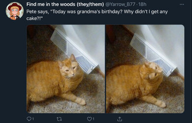 E3806C79-550F-4E3A-B99E-97DBCA6F740D.jpeg