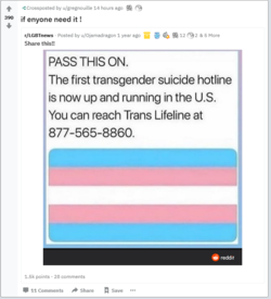 41.PNG