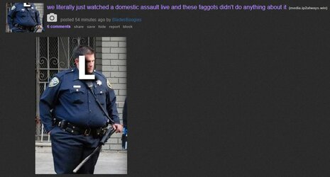 cops.JPG