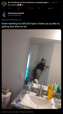 screencapture-twitter-Mikeywallace89-status-1374490115746136070-2021-03-26-11_17_24.png