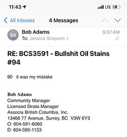 bob adams.jpeg