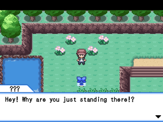 gn_enbu_ss019.png