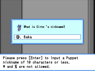 ciryes.png