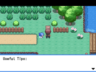 gn_enbu_ss163.png