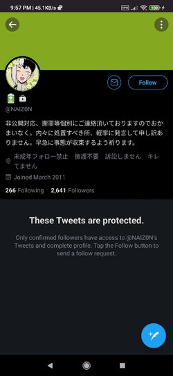 Screenshot_2021-03-29-21-57-16-745_com.twitter.android.jpg