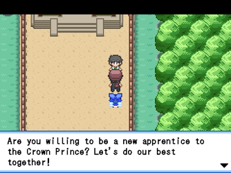 gn_enbu_ss149.png