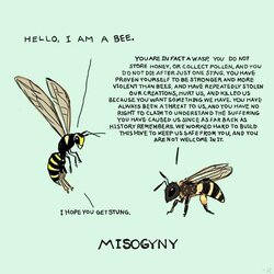 trannies vs terfs.jpg
