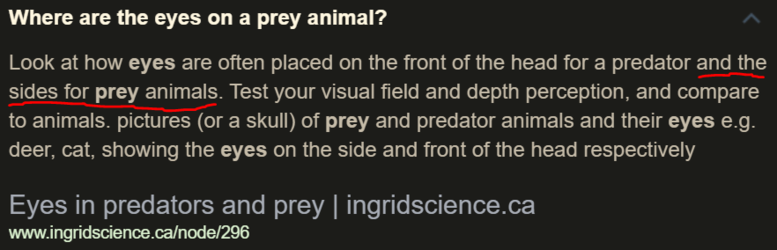 1617307335971.png