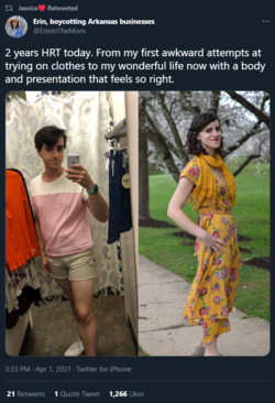 1.PNG