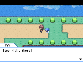gn_enbu_ss112.png
