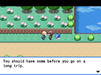 gn_enbu_ss144.png