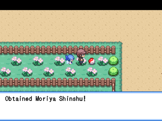 gn_enbu_ss149.png