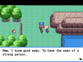 gn_enbu_ss194.png