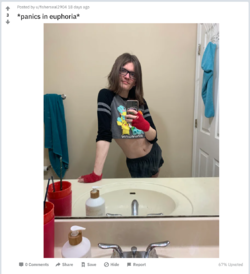 nt 05.png