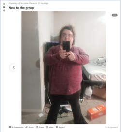NT 23.png