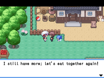 gn_enbu_ss013.png