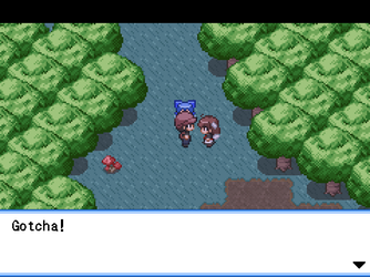 gn_enbu_ss072.png