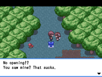 gn_enbu_ss078.png