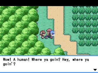 gn_enbu_ss166.png