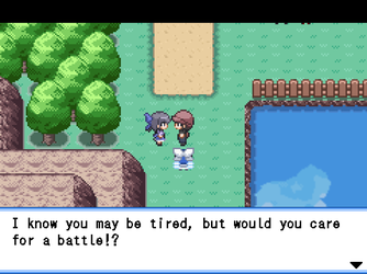 gn_enbu_ss214.png