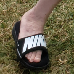 1617558219331.png