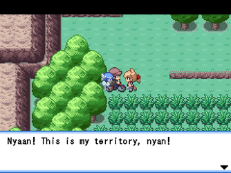 gn_enbu_ss251.png