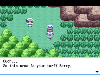 gn_enbu_ss266.png