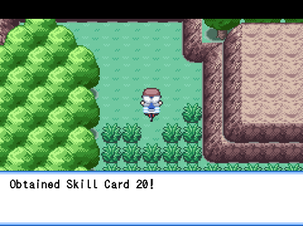gn_enbu_ss273.png